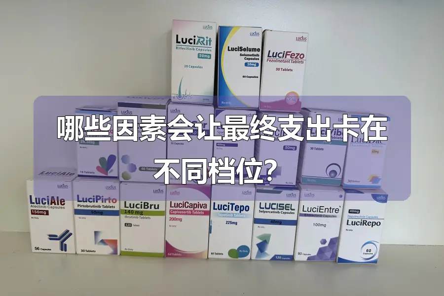 哪些因素会让最终支出卡在不同档位？